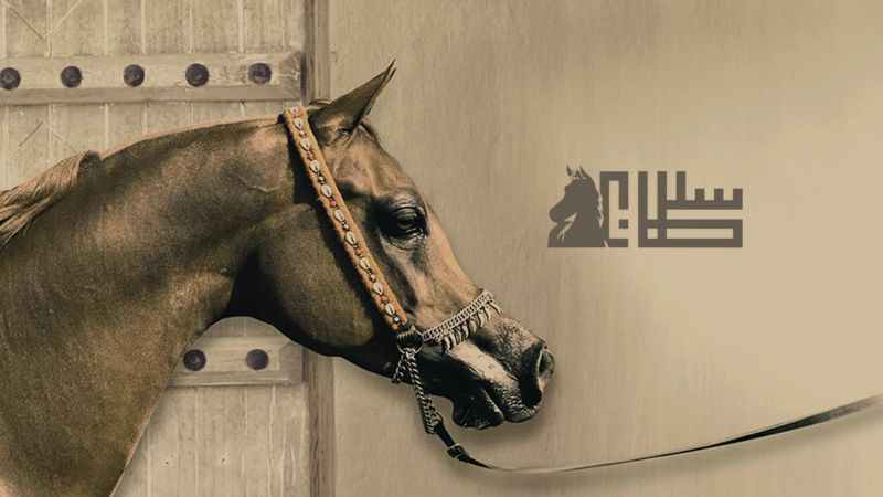 مهرجان الأمير سلطان بن عبدالعزيز العالمي للجواد العربي ملصق