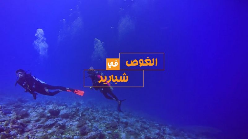 الحلقة 15 ملصق