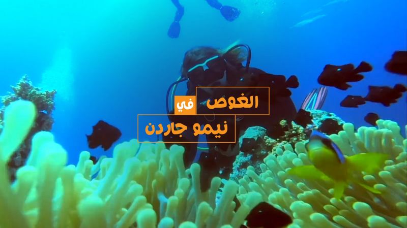الحلقة 14 ملصق