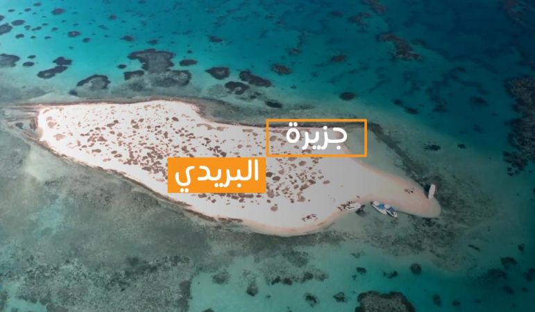 الحلقة 12 ملصق