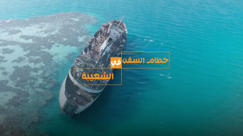 الحلقة 11 ملصق