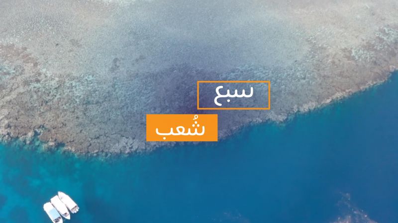 الحلقة 13 ملصق