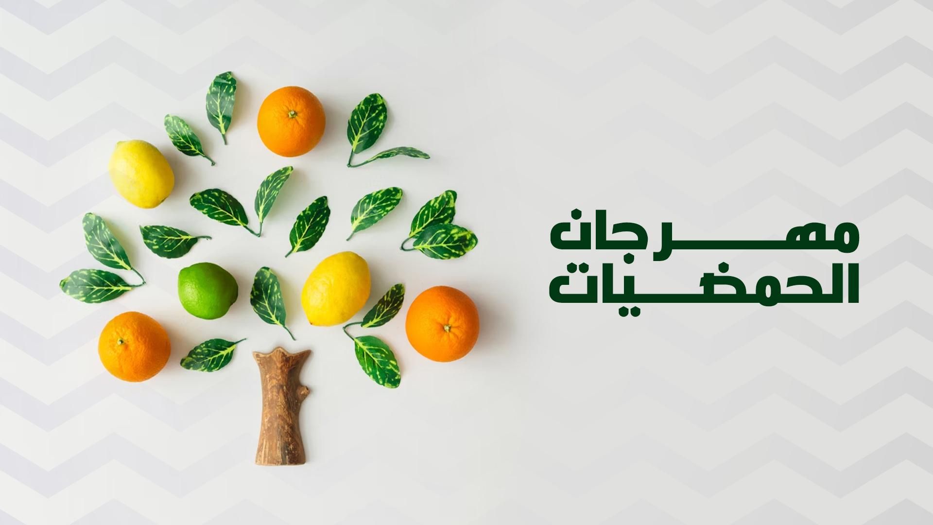 Citrus Festival» poster