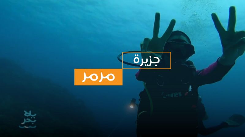 الحلقة 10 ملصق