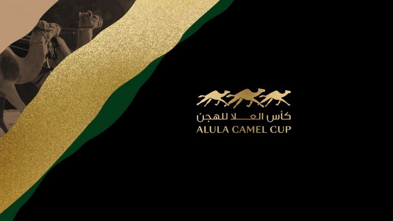 كأس العلا للهجن ملصق